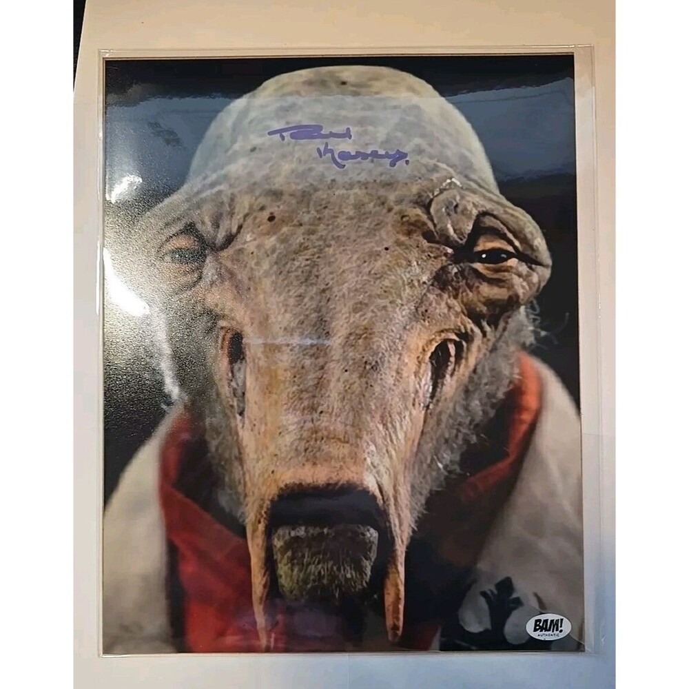 Star Wars Last Jedi Paul Kasey Signed C'ai Threnalli 8x10 Bam Box COA Protector